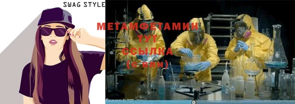 крисы Алзамай