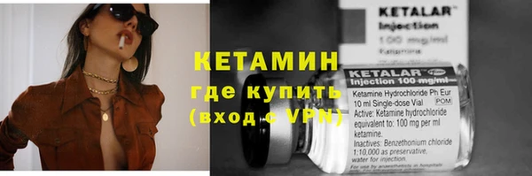 крисы Алзамай
