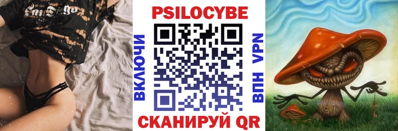 Псилоцибиновые грибы MAGIC MUSHROOMS  где продают наркотики  Заинск 