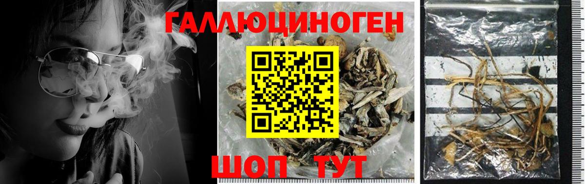 Галлюциногенные грибы MAGIC MUSHROOMS  Вход с VPN  Заинск 